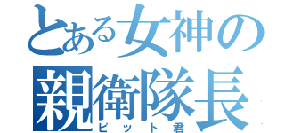 とある女神の親衛隊長（ピット君）