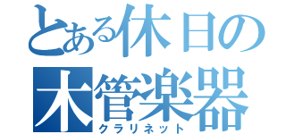 とある休日の木管楽器（クラリネット）