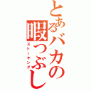 とあるバカの暇つぶし（ストーキング）