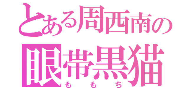 とある周西南の眼帯黒猫（ももち）