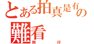 とある拍真是有點の難看（狗仔）