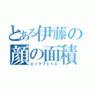 とある伊藤の顔の面積（ビックフェイス）