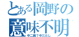 とある岡野の意味不明（中二病？中三だし）