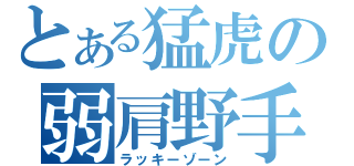 とある猛虎の弱肩野手（ラッキーゾーン）