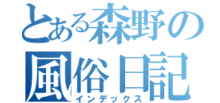 とある森野の風俗日記（インデックス）