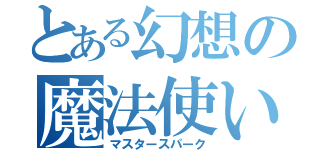 とある幻想の魔法使い（マスタースパーク）