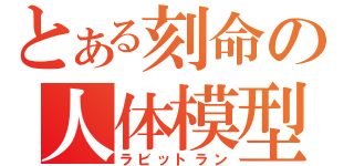 とある刻命の人体模型（ラビットラン）