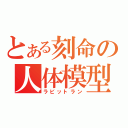 とある刻命の人体模型（ラビットラン）