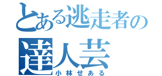 とある逃走者の達人芸（小林せある）