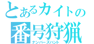 とあるカイトの番号狩猟（ナンバーズハント）