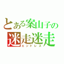 とある案山子の迷走迷走（エンドレス）