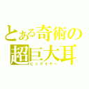 とある奇術の超巨大耳（ビッグイヤー）