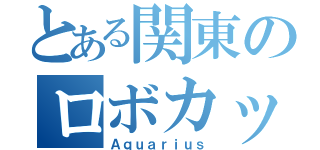 とある関東のロボカップチーム（Ａｑｕａｒｉｕｓ）