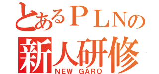 とあるＰＬＮの新人研修（ＮＥＷ　ＧＡＲＯ）