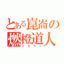 とある崑崙の燃橙道人（シスコン）