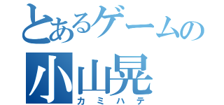 とあるゲームの小山晃（カミハテ）