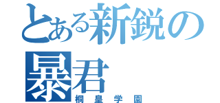 とある新鋭の暴君（桐皇学園）