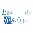 とあるのがんうぃ（藍上）