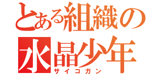 とある組織の水晶少年（サイコガン）