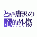 とある唐沢の心的外傷（トラウマ）