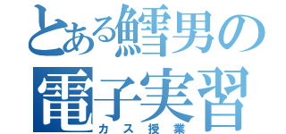 とある鱈男の電子実習（カス授業）