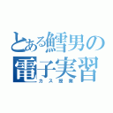 とある鱈男の電子実習（カス授業）