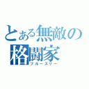 とある無敵の格闘家（ブルースリー）