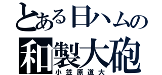 とある日ハムの和製大砲（小笠原道大）