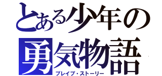 とある少年の勇気物語（ブレイブ・ストーリー）