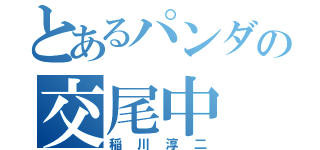 とあるパンダの交尾中（稲川淳二）