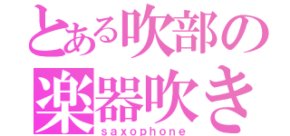 とある吹部の楽器吹き（ｓａｘｏｐｈｏｎｅ）