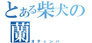 とある柴犬の蘭（オティンバ）