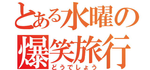 とある水曜の爆笑旅行（どうでしょう）