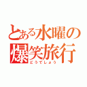 とある水曜の爆笑旅行（どうでしょう）