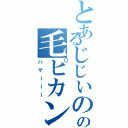 とあるじじいの髪の毛ピカン（ハゲーーー）