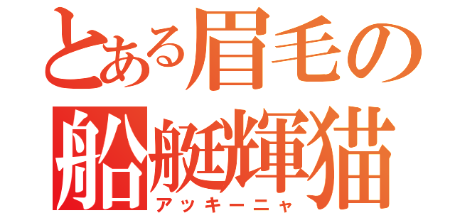 とある眉毛の船艇輝猫（アッキーニャ）