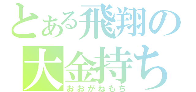 とある飛翔の大金持ち（おおがねもち）