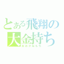 とある飛翔の大金持ち（おおがねもち）