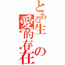 とある生の愛的存在（痕跡）