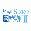 とあるＳＭの緊縛動画Ⅱ（１８禁）