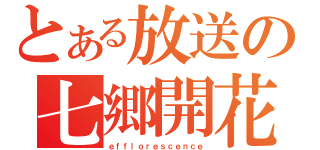 とある放送の七郷開花（ｅｆｆｌｏｒｅｓｃｅｎｃｅ）