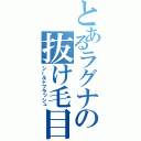 とあるラグナの抜け毛目録（シールドフラッシュ）