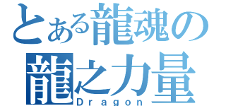 とある龍魂の龍之力量（Ｄｒａｇｏｎ）