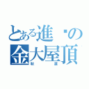 とある進擊の金大屋頂（秋源）