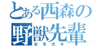 とある西森の野獣先輩（ホモガキ）