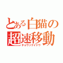 とある白猫の超速移動（チョウソクイドウ）