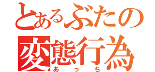 とあるぶたの変態行為（あっち）