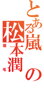 とある嵐の松本潤（眉毛）