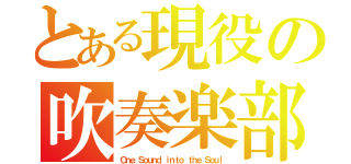 とある現役の吹奏楽部（Ｏｎｅ Ｓｏｕｎｄ ｉｎｔｏ ｔｈｅ Ｓｏｕｌ）