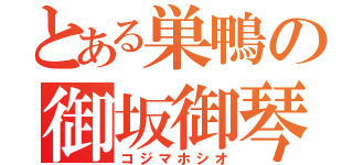 とある巣鴨の御坂御琴（コジマホシオ）